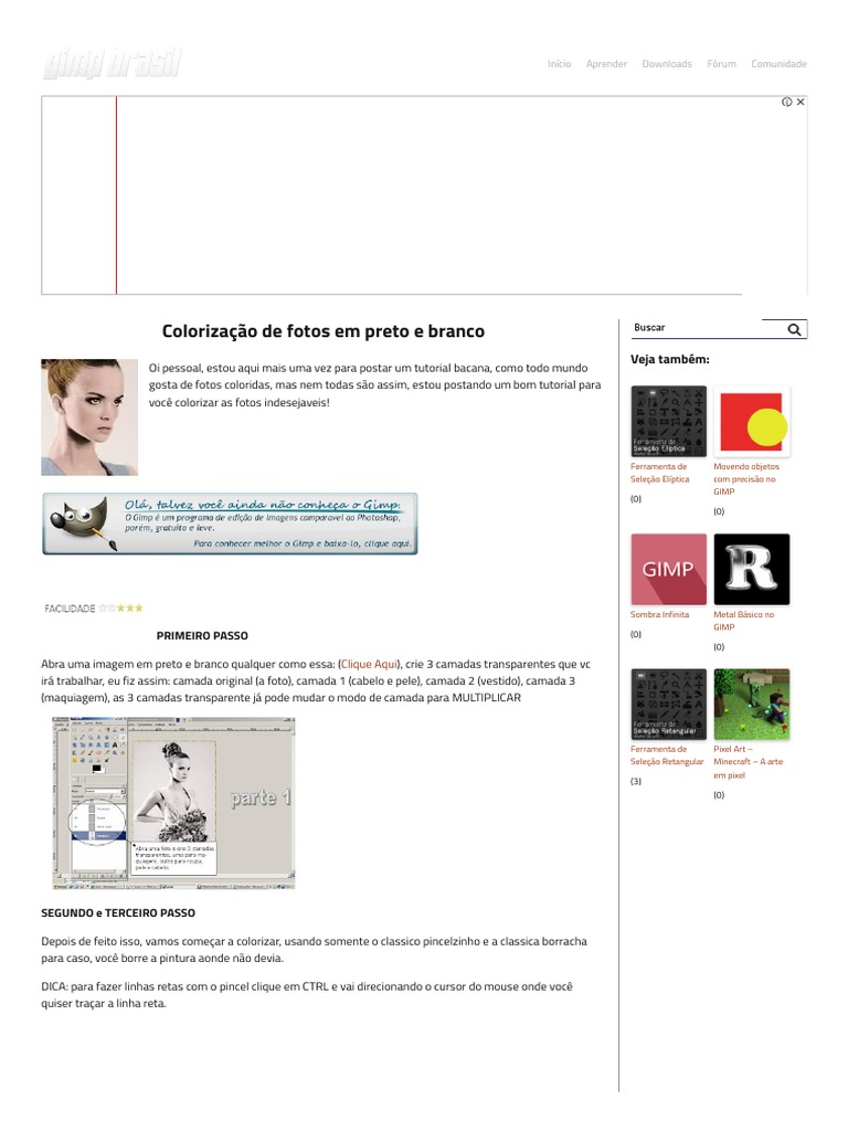 Colorização De Fotos Em Preto E Branco – GIMP Brasil | PDF | Cor.