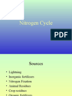 Nitrogen Cycle in Wetlands