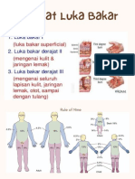 Derajat Luka Bakar