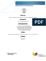 Documento Individual de Adaptacion Grupal (2) (1)