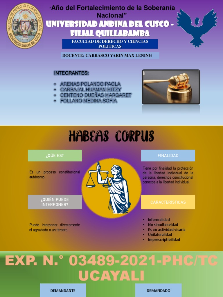 Análisis de Habeas Corpus y Proceso de Inconstitucionalidad | PDF ...