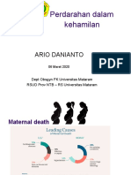 DR - Ario - Kehamilan DGN Penyulit 4 (Perdarahan Dalam Kehamilan)