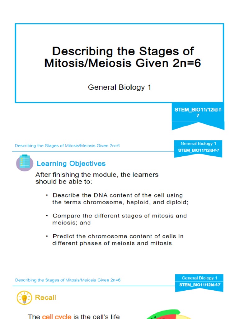 Lesson 7. Stages of Mitosis and Meiosis | PDF
