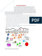 Download Imunologi Mukosa by Teuku Harqad SN61267180 doc pdf