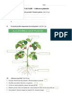 EVALUARE - CULTIVAREA PLANTELOR - Clasa A V-A