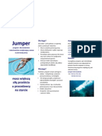 Jumper Leaflet - Program Rozwoju Pracownika Na Starcie
