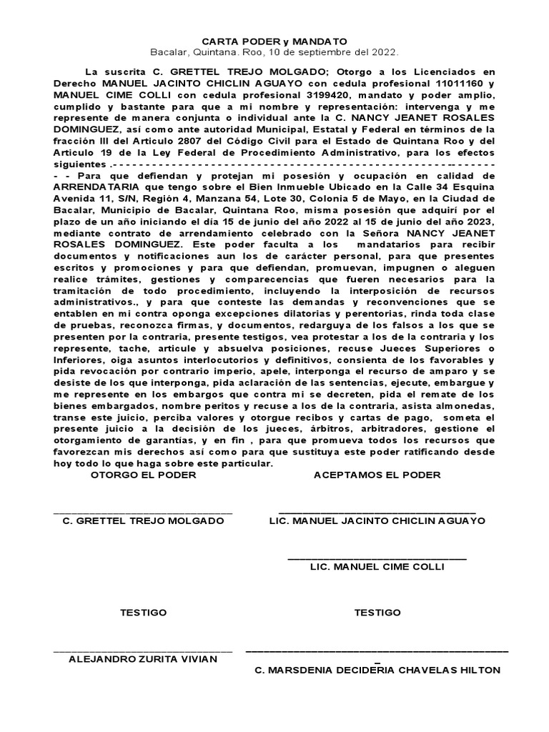 Carta Poder | PDF | Gobierno | Justicia