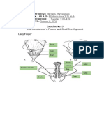 MARRIENILLA MERCADO Lab Report. Exercise 5. The Structure of A Flower and Seed Development