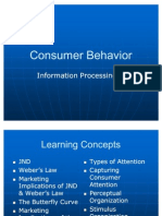 Information Processing II
