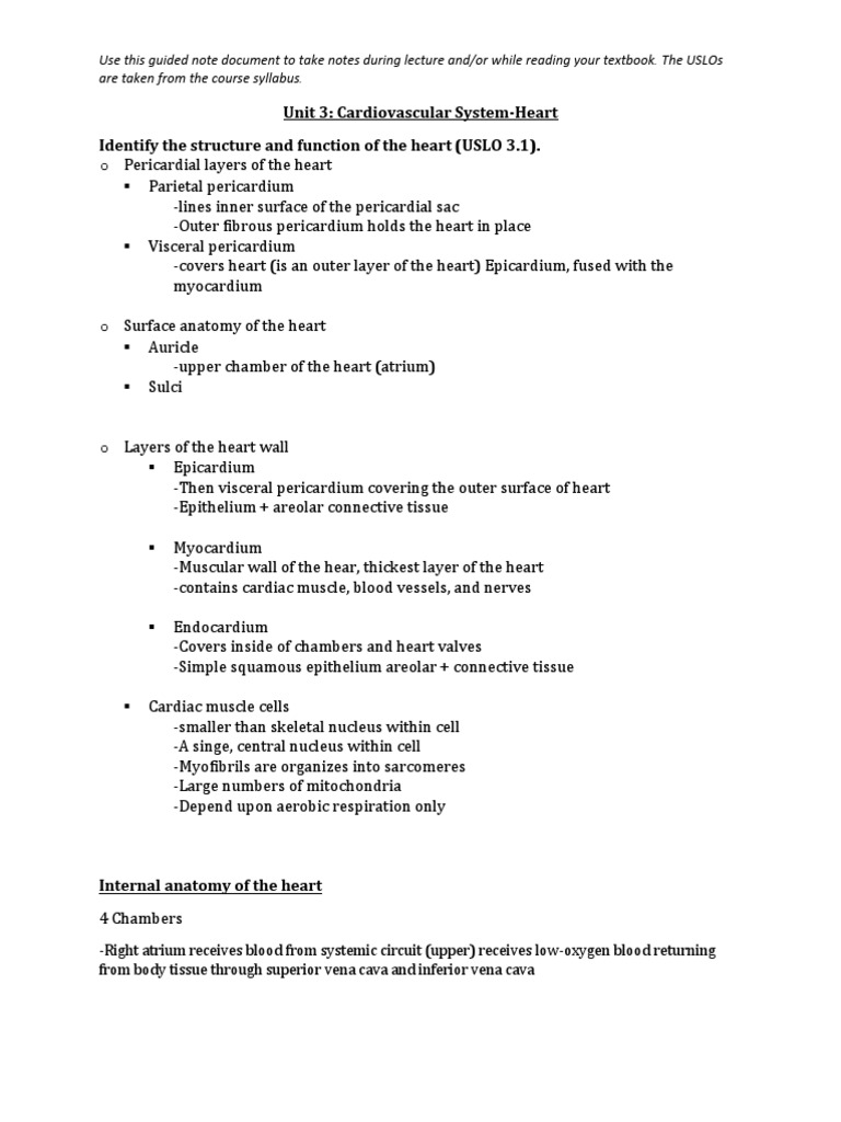 Unit 3 Heart Guided Notes PDF Heart Valve Heart