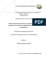 Efecto de Bacterias Acido Lacticas y Levaduras Con Potencial Probiotico en El Cultivo de Tilapias