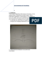 Rappel Anatomique de L'oesophage - Copie