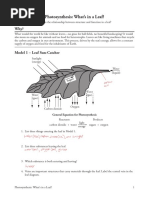 2 Photosynthesis-Whats in A Leaf-S | PDF | Stoma | Leaf
