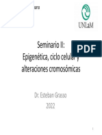 Epigenetica, Ciclo Celular y Morfologia Del Cromosoma