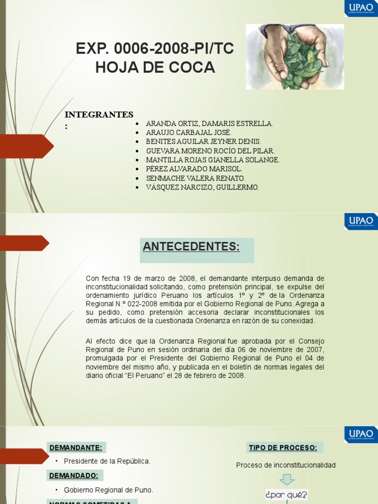Hoja de Coca PDF Perú Gobierno