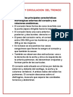 Corazon y Circulacion Del Tronco PDF
