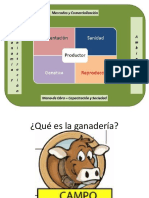 Ganaderia Productora de Alimentos