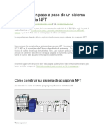 Construcción Paso A Paso de Un Sistema de Acuaponia NFT