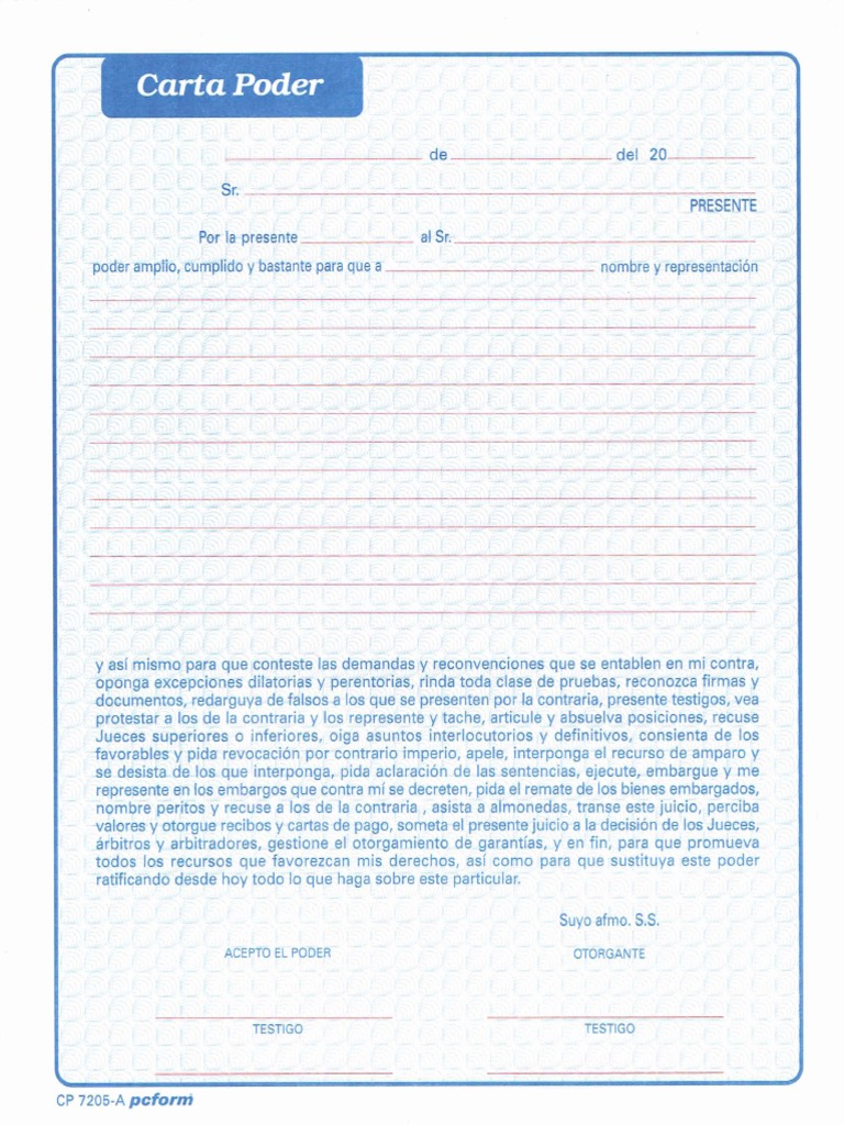 Formato de Carta Poder | PDF
