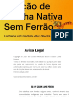 Abelhas Sem Ferrao