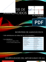 Biosíntesis de Aminoácidos