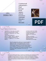 Derecho constitucional: rama del derecho que regula la estructura y organización del Estado