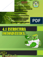 4.1 Estructura Fotosintetica PDF