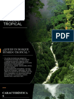 Bosque Humedo Tropical