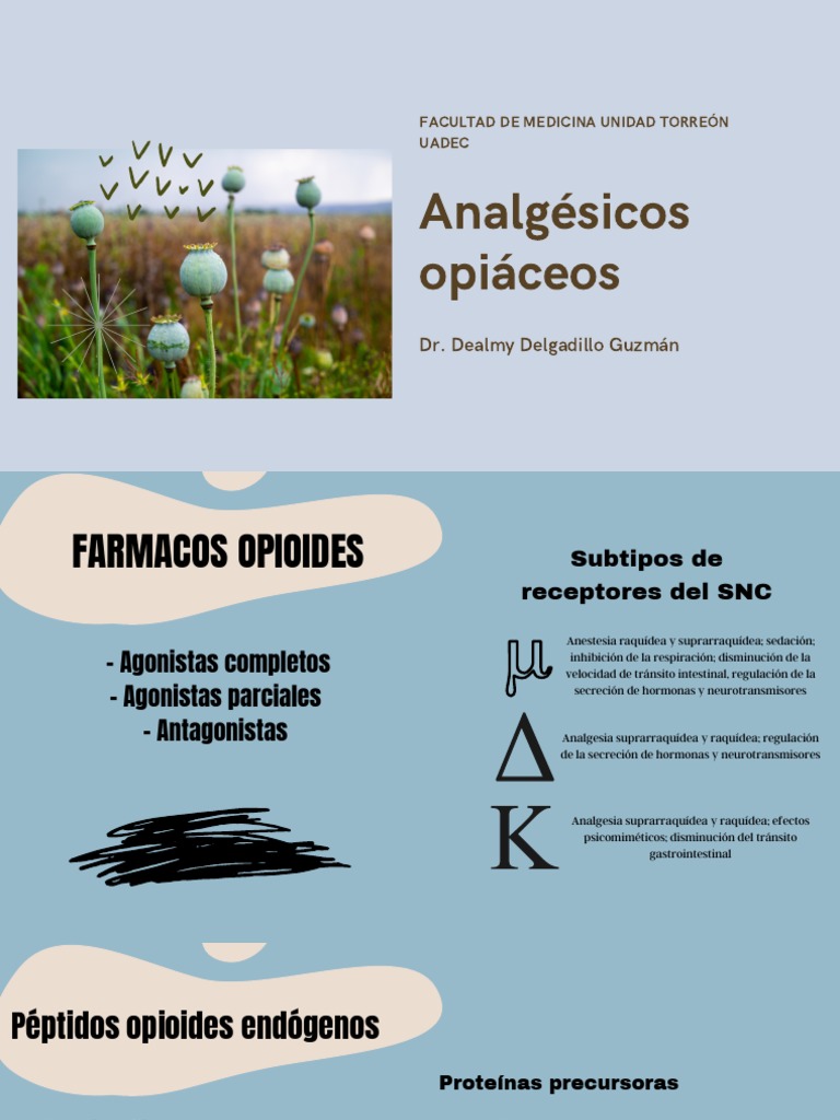 Analgésicos Opiáceos | PDF | Naloxona | Opioide