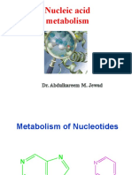 Metabolism of Nucleotid-$