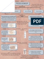 Concept Map of Bone Formation, Growth, and Remodelling