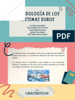 Paradigma de Los Sistemas Duros