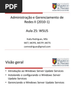 aula_25_wsus