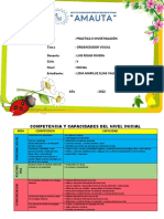 Competencia y Capacidades Del Nivel Inicial