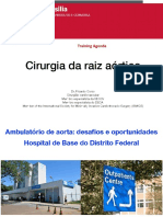 Cirurgia da raiz aórtica: técnicas, indicações e resultados