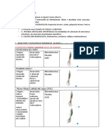 Si hay dolor en la base delprimero metacarpiano, es positiva.Significa inflamación del tendón de losmúsculos abductor largo y extensor cortodel pulgar