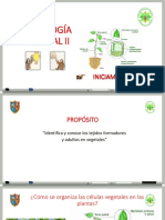 Histologia Ii - 5°sec - 2022