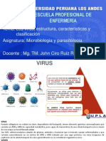 Virus: estructura, clasificación y transmisión