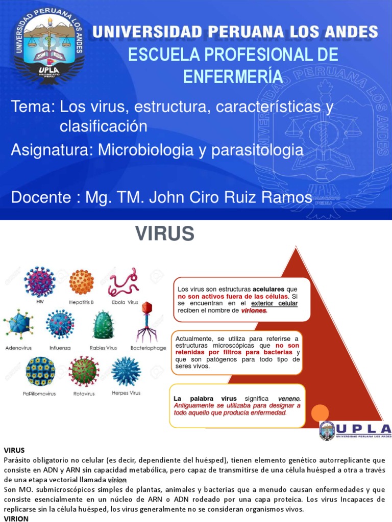 Estructura Y Clasificacion De Los Virus