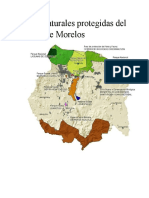 Áreas Naturales Protegidas Del Estado de Morelos