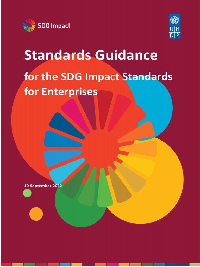 2 Undp Sdg Impact Standards Guidance For Enterprise Standards 10042022