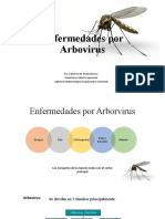 Enfermedades por Arbovirus