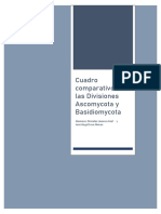 Cuadro Comparativo de Las Divisiones Ascomycota y Basidiomycota