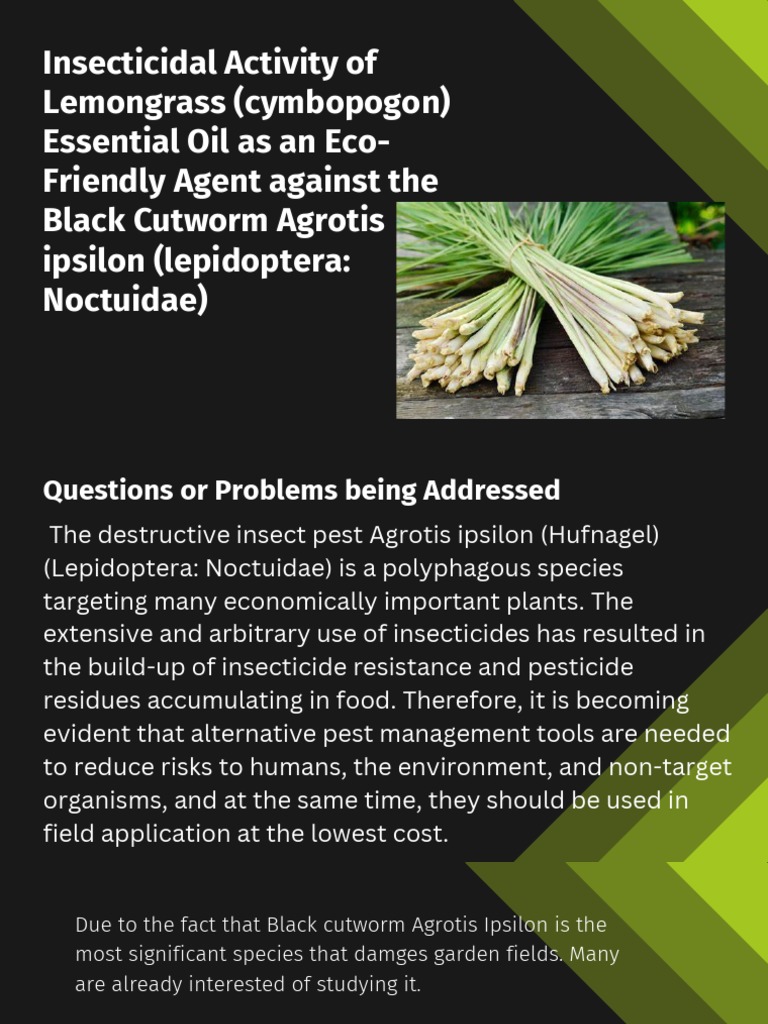 Lemongrass Oil as Eco-Friendly Insecticide | PDF | Insecticide ...