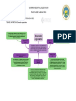 Dimensión Organizativa