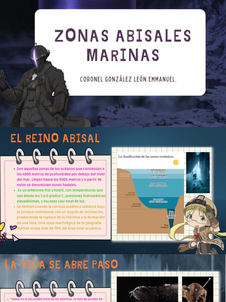 Zonas Abisales: Vida y Exploración Oceánica | PDF, image size:768x1024