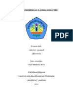 Sejarah Perkembangan Olahraga Angkatbesi