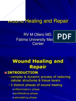 Wound Healing