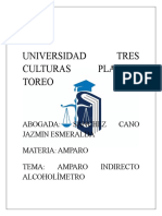 TESIS AMPARO ALCOHOLIMETRO (Recuperado automáticamente)