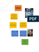 Mapa Conceptual 1